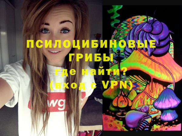 гашик Бугульма